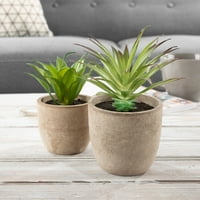 Aranjamente pentru plante de Aloe Fau-Set de ghivece cu aspect de piatră pentru Decor interior de Pure Garden