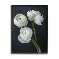 Stupell Industries Chic Ranunculus flori flori aranjament Modern fotografie Negru încadrată arta imprimare arta de perete, Design
