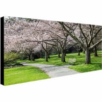 Marcă comercială Fine Art Cherry Blossoms Canvas Art de Pierre Leclerc