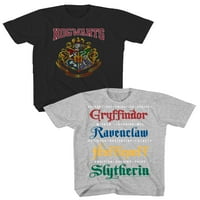 Tricou Grafic Harry Potter Boys Hogwarts House, Pachet 2, Mărimi 4-18