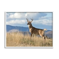 Stupell Industries White-Tail Buck în Wild Montana Mountains Blue Sky Cabin Photography White Framed Art Print Wall Art, 30, Design