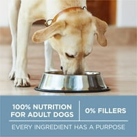Purina ONE Plus hrană uscată pentru câini formula de sănătate comună, pui Natural bogat în proteine și orez, pungă de 16,5 lb