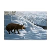 Marcă comercială Fine Art 'Winter Stalk' Canvas Art de Ron Parker