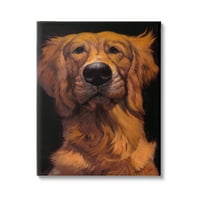 Stupell Industries Golden Retriever Pet Dog portret Bold Animal Painting, 30, Design de Thomas Fluharty