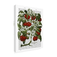 Marcă comercială Fine Art 'Tomato Plant' Canvas Art de Fab Funky