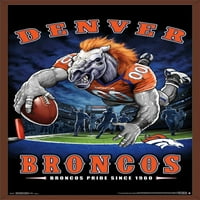 Denver Broncos-Poster De Perete Pentru Zona Finală, 22.375 34
