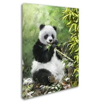 Trademark Fine Art 'Panda I' Canvas Art de la studioul Macneil