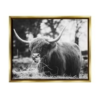 Highland Bovine Limba Linge Iarba Animale & Insecte Fotografie Metalic Aur Înrămate Arta Imprimare Arta De Perete