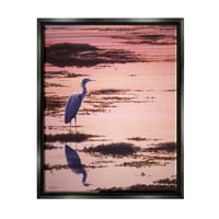 Stupell Industries Crane pasăre în Sunrise Marsh coastă fotografie Negru Floater înrămate arta imprimare perete arta