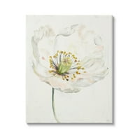 Stupell Industries frumusețe delicată floare albă Galerie de artă grafică imprimată pe pânză învelită artă de perete, Design de