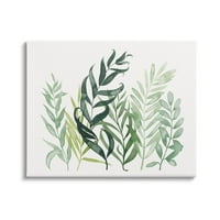 Stupell Industries frunze de plante stratificate Galerie de artă grafică Botanică artă de perete cu imprimare pe pânză învelită,