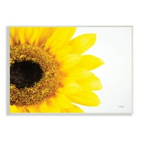 Stupell Industries detaliu de floarea-soarelui disc și petale fotografie, 10, Design de Donnie Quillen