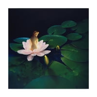Marcă comercială Fine Art 'Waterlilies' Canvas Art de Kirk Reinert