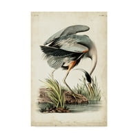 Marcă comercială Fine Art 'Blue Heron Portrait' Canvas Art de John James Audubon