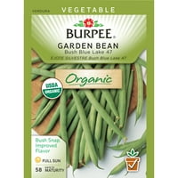 Burpee-Bean, Pachet De Semințe Bush Blue Lake