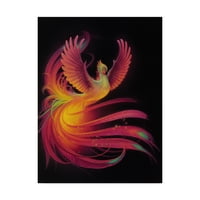 Marcă comercială Fine Art 'Phoenix' Canvas Art de Kirk Reinert
