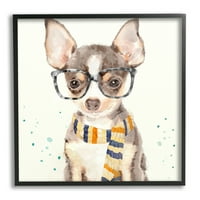 Stupell Industries Hipster Chihuahua Puppy cu ochelari și eșarfă acuarelă artă încadrată neagră imprimare artă de perete, 17x30