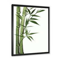 Designart 'detaliu de bambus verde închis și frunze I' imprimare tradițională de artă încadrată