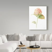 Marcă comercială Fine Art 'Floursack Florals on White V' Canvas Art de Danhui Nai
