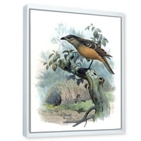 Designart 'Păsările paradisului pe o ramură de copac' imprimare tradițională de artă de perete din pânză încadrată
