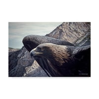 Marcă comercială Fine Art 'Golden Eagle Portrait' Canvas Art de Ron Parker