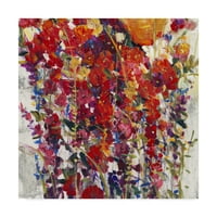 Marcă comercială Fine Art 'Mixed Bouquet IV' Canvas Art de Tim OToole