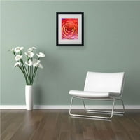 Marcă comercială Fine Art Plant Art Matted Framed Art de Patty Tuggle, cadru negru