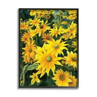 Stupell Industries floarea-soarelui câmp înflorit bulbi verzi petale galbene fotografie Negru încadrată artă imprimare artă de