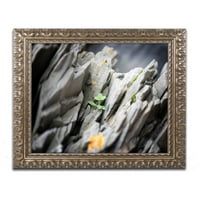 Marcă comercială Fine Art Floral On Mineral Canvas Art de Philippe Sainte-Laudy Gold Ornate Frame