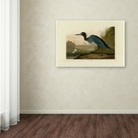 Marcă comercială Fine Art 'Blue Crane or Heron' Canvas Art de John James Audobon