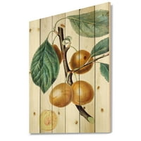 Imprimare fermă Designart 'Ancient Fruits II' pe lemn Natural de pin